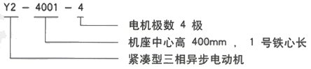 YR系列(H355-1000)高压YJTFKK4501-8三相异步电机西安西玛电机型号说明